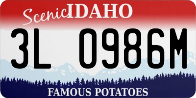 ID license plate 3L0986M