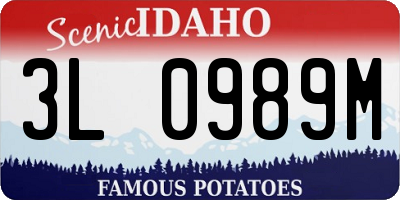ID license plate 3L0989M