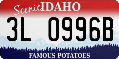 ID license plate 3L0996B
