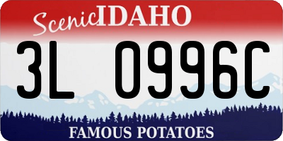 ID license plate 3L0996C