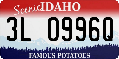 ID license plate 3L0996Q