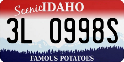 ID license plate 3L0998S