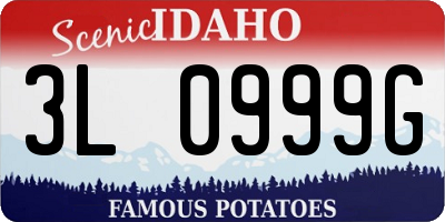 ID license plate 3L0999G