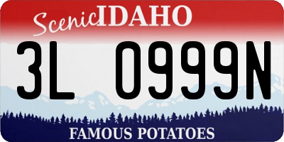 ID license plate 3L0999N
