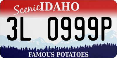ID license plate 3L0999P