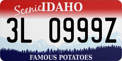 ID license plate 3L0999Z