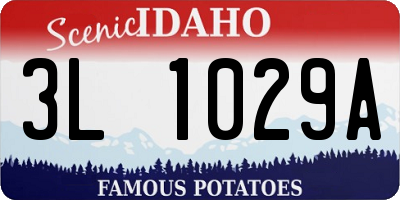 ID license plate 3L1029A