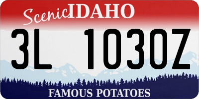 ID license plate 3L1030Z