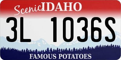 ID license plate 3L1036S