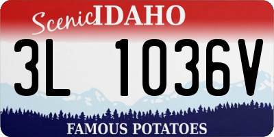 ID license plate 3L1036V