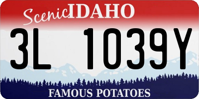 ID license plate 3L1039Y