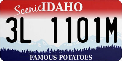 ID license plate 3L1101M