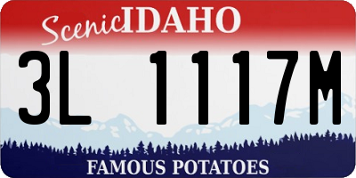 ID license plate 3L1117M