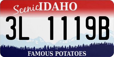 ID license plate 3L1119B