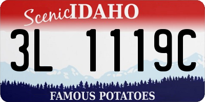 ID license plate 3L1119C
