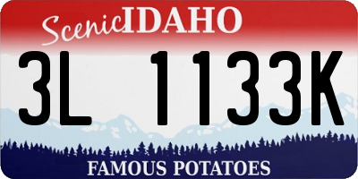 ID license plate 3L1133K