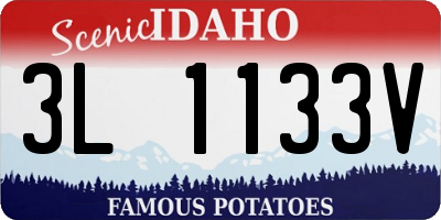 ID license plate 3L1133V
