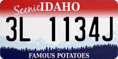 ID license plate 3L1134J