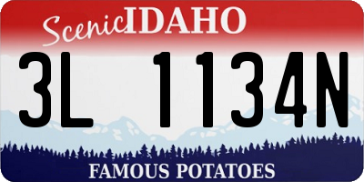 ID license plate 3L1134N