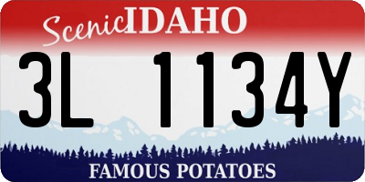 ID license plate 3L1134Y