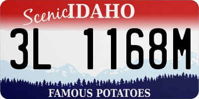 ID license plate 3L1168M