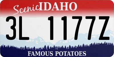 ID license plate 3L1177Z