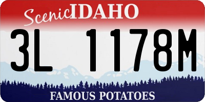 ID license plate 3L1178M