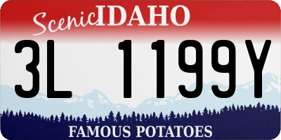 ID license plate 3L1199Y