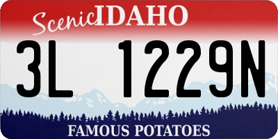 ID license plate 3L1229N