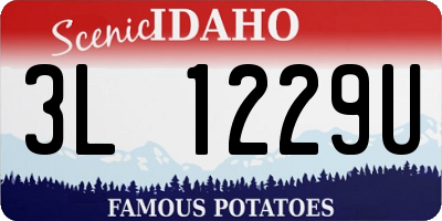 ID license plate 3L1229U