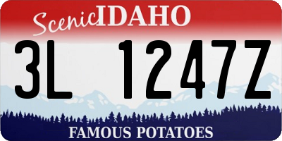 ID license plate 3L1247Z