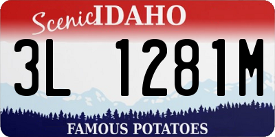 ID license plate 3L1281M