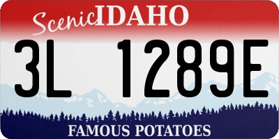 ID license plate 3L1289E