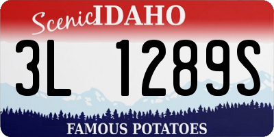ID license plate 3L1289S