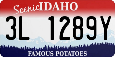 ID license plate 3L1289Y