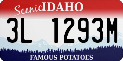 ID license plate 3L1293M