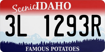 ID license plate 3L1293R