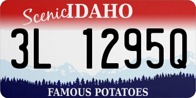 ID license plate 3L1295Q