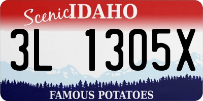 ID license plate 3L1305X