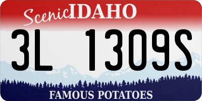 ID license plate 3L1309S