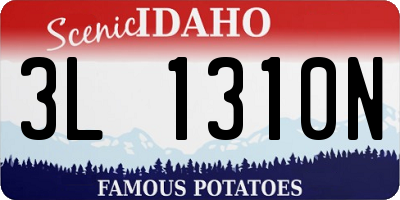 ID license plate 3L1310N