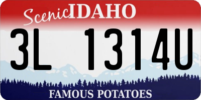 ID license plate 3L1314U