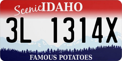 ID license plate 3L1314X