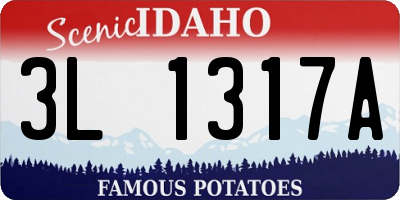 ID license plate 3L1317A