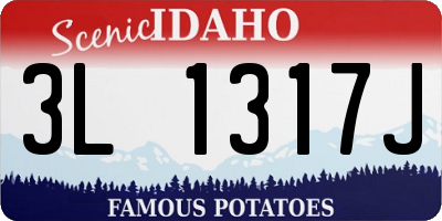 ID license plate 3L1317J