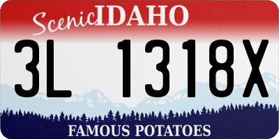 ID license plate 3L1318X