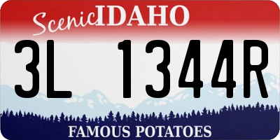 ID license plate 3L1344R