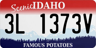 ID license plate 3L1373V