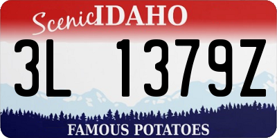 ID license plate 3L1379Z