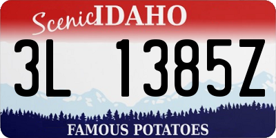ID license plate 3L1385Z
